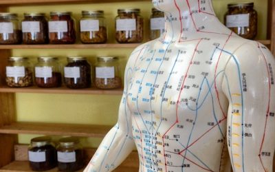 Yin’s Acupuncture & Integrated Medicine – Best Acupuncture near Me